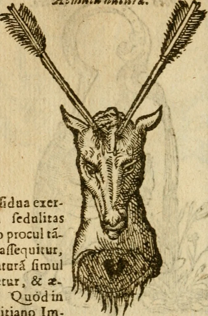An illustration from Symbola heroica m. Clavdii Paradini, Belliiocensis canonici, et d. Gabrielis Symeonis : multo, quàm antea, fidelius de gallica lingua in latinam conuersa, 1600, leaf 185