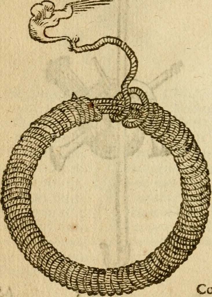 An illustration from Symbola heroica m. Clavdii Paradini, Belliiocensis canonici, et d. Gabrielis Symeonis : multo, quàm antea, fidelius de gallica lingua in latinam conuersa, 1600, leaf 189