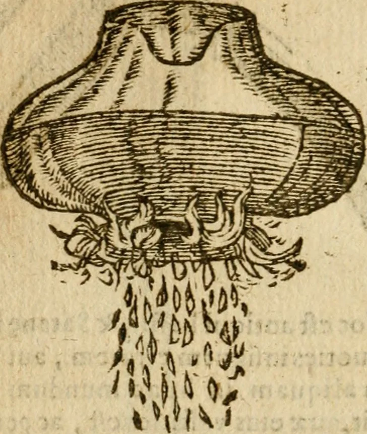 An illustration from Symbola heroica m. Clavdii Paradini, Belliiocensis canonici, et d. Gabrielis Symeonis : multo, quàm antea, fidelius de gallica lingua in latinam conuersa, 1600, leaf 195