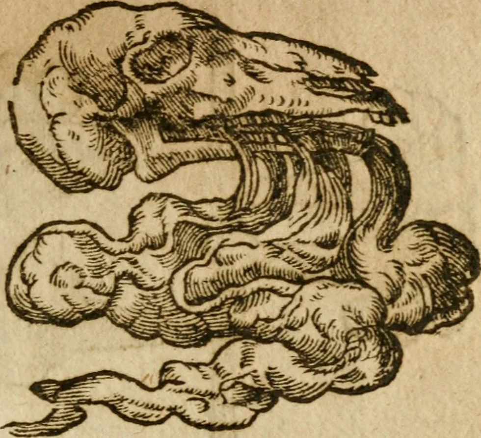 An illustration from Symbola heroica m. Clavdii Paradini, Belliiocensis canonici, et d. Gabrielis Symeonis : multo, quàm antea, fidelius de gallica lingua in latinam conuersa, 1600, leaf 196