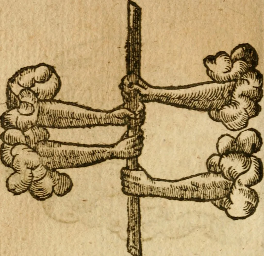 An illustration from Symbola heroica m. Clavdii Paradini, Belliiocensis canonici, et d. Gabrielis Symeonis : multo, quàm antea, fidelius de gallica lingua in latinam conuersa, 1600, leaf 197