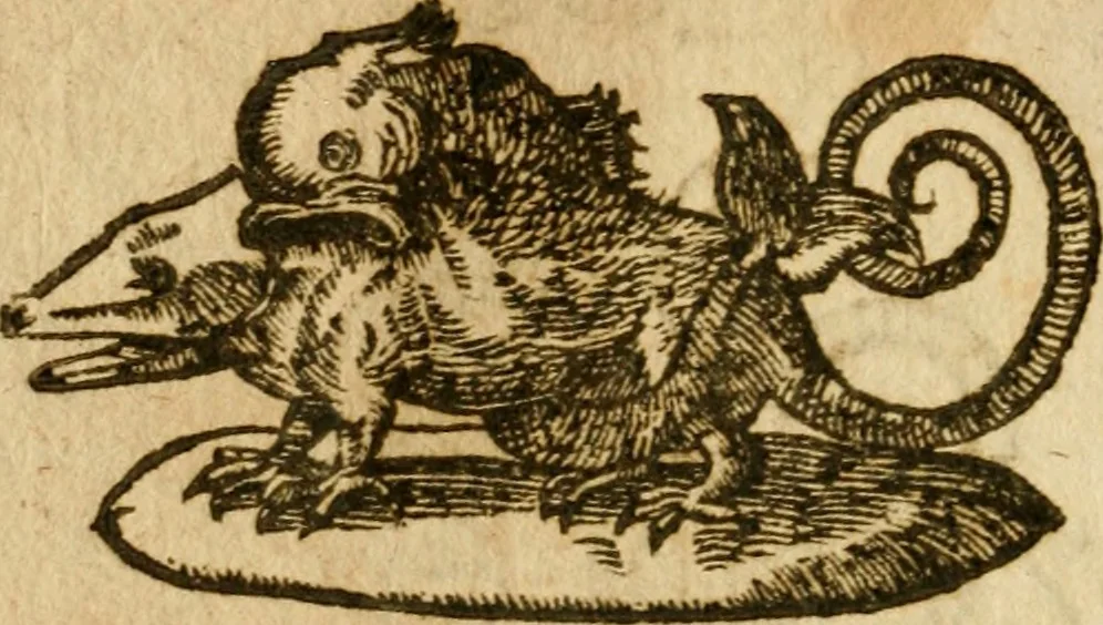 An illustration from Symbola heroica m. Clavdii Paradini, Belliiocensis canonici, et d. Gabrielis Symeonis : multo, quàm antea, fidelius de gallica lingua in latinam conuersa, 1600, leaf 203
