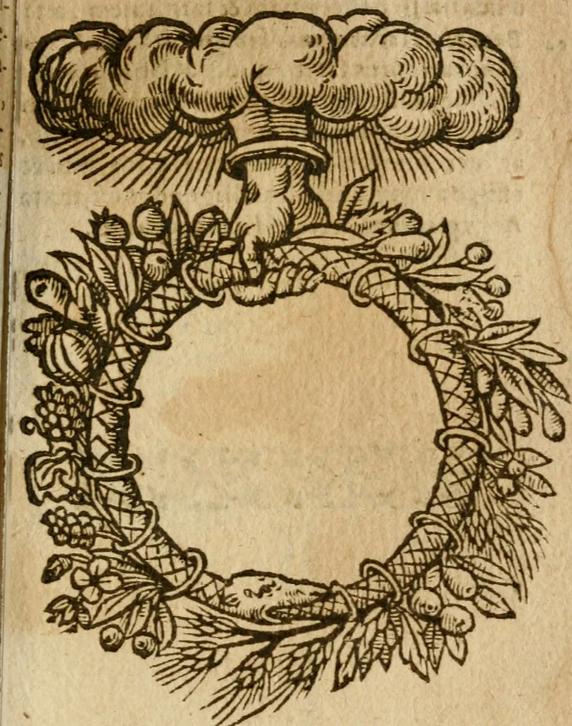 An illustration from Symbola heroica m. Clavdii Paradini, Belliiocensis canonici, et d. Gabrielis Symeonis : multo, quàm antea, fidelius de gallica lingua in latinam conuersa, 1600, leaf 206