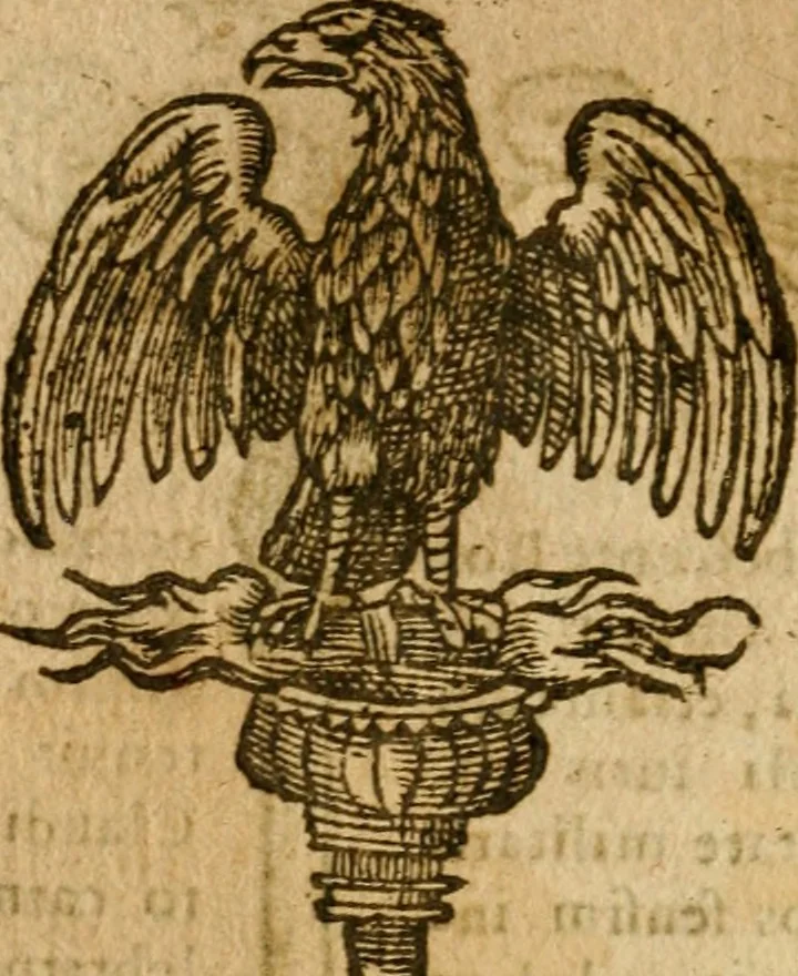An illustration from Symbola heroica m. Clavdii Paradini, Belliiocensis canonici, et d. Gabrielis Symeonis : multo, quàm antea, fidelius de gallica lingua in latinam conuersa, 1600, leaf 209