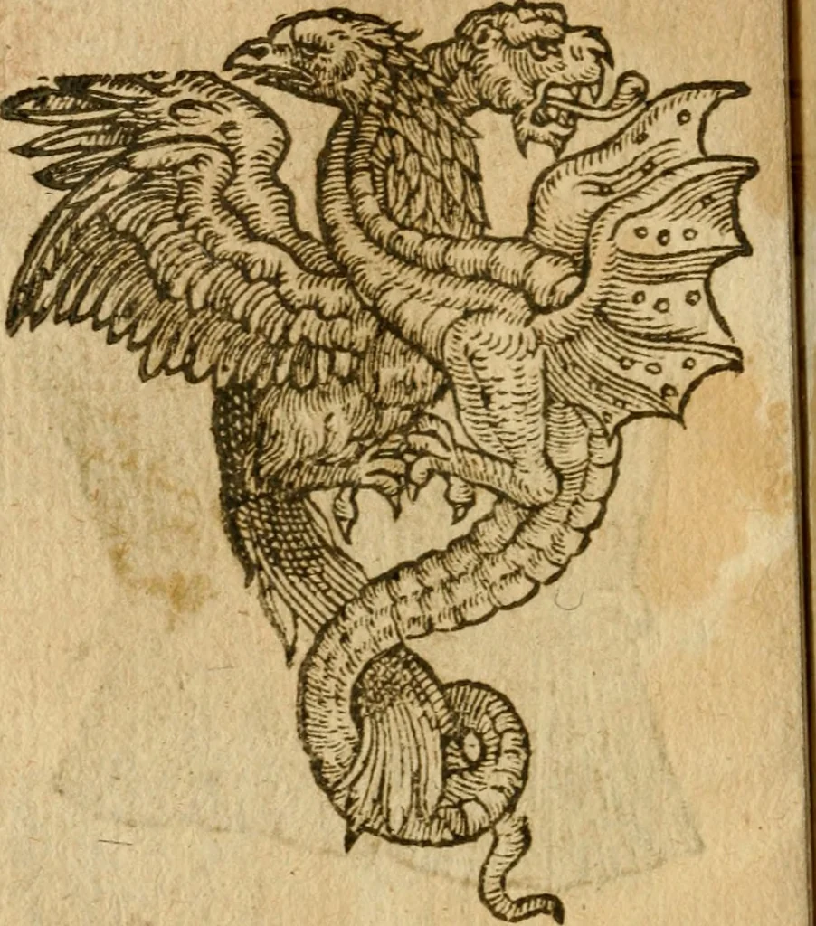 An illustration from Symbola heroica m. Clavdii Paradini, Belliiocensis canonici, et d. Gabrielis Symeonis : multo, quàm antea, fidelius de gallica lingua in latinam conuersa, 1600, leaf 217