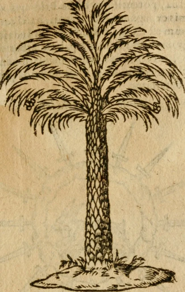 An illustration from Symbola heroica m. Clavdii Paradini, Belliiocensis canonici, et d. Gabrielis Symeonis : multo, quàm antea, fidelius de gallica lingua in latinam conuersa, 1600, leaf 220