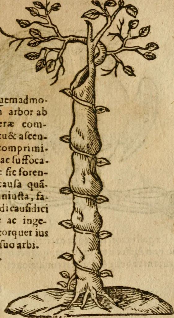 An illustration from Symbola heroica m. Clavdii Paradini, Belliiocensis canonici, et d. Gabrielis Symeonis : multo, quàm antea, fidelius de gallica lingua in latinam conuersa, 1600, leaf 224