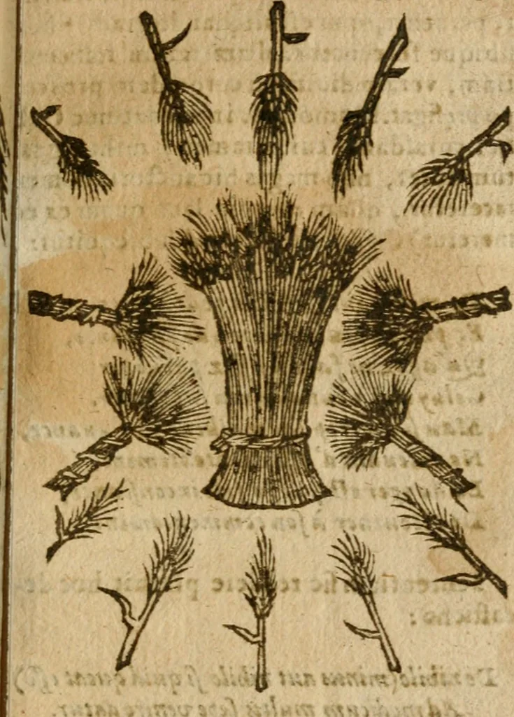 An illustration from Symbola heroica m. Clavdii Paradini, Belliiocensis canonici, et d. Gabrielis Symeonis : multo, quàm antea, fidelius de gallica lingua in latinam conuersa, 1600, leaf 226