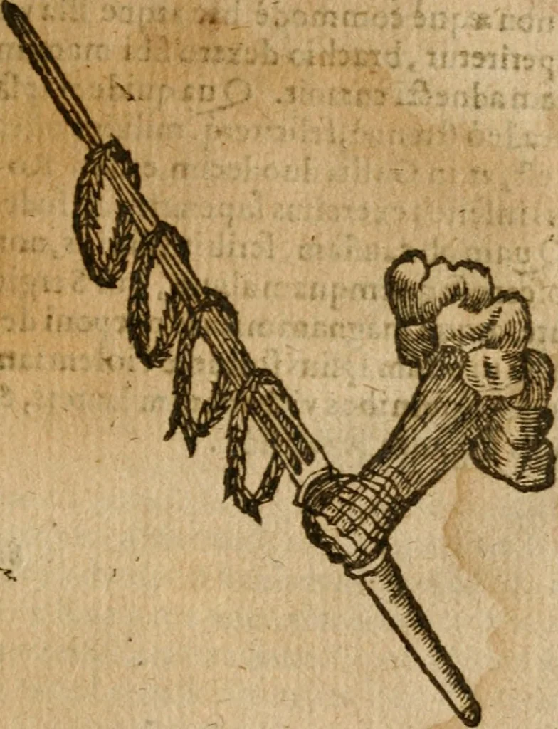 An illustration from Symbola heroica m. Clavdii Paradini, Belliiocensis canonici, et d. Gabrielis Symeonis : multo, quàm antea, fidelius de gallica lingua in latinam conuersa, 1600, leaf 234