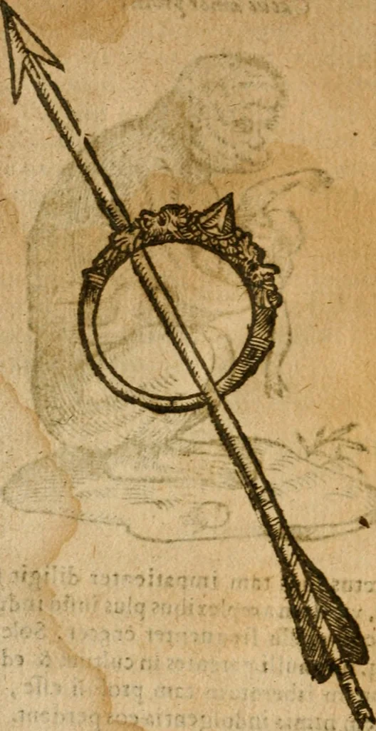 An illustration from Symbola heroica m. Clavdii Paradini, Belliiocensis canonici, et d. Gabrielis Symeonis : multo, quàm antea, fidelius de gallica lingua in latinam conuersa, 1600, leaf 239