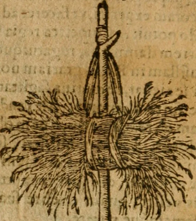 An illustration from Symbola heroica m. Clavdii Paradini, Belliiocensis canonici, et d. Gabrielis Symeonis : multo, quàm antea, fidelius de gallica lingua in latinam conuersa, 1600, leaf 241