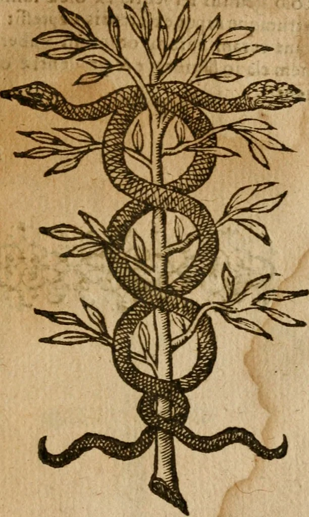 An illustration from Symbola heroica m. Clavdii Paradini, Belliiocensis canonici, et d. Gabrielis Symeonis : multo, quàm antea, fidelius de gallica lingua in latinam conuersa, 1600, leaf 246