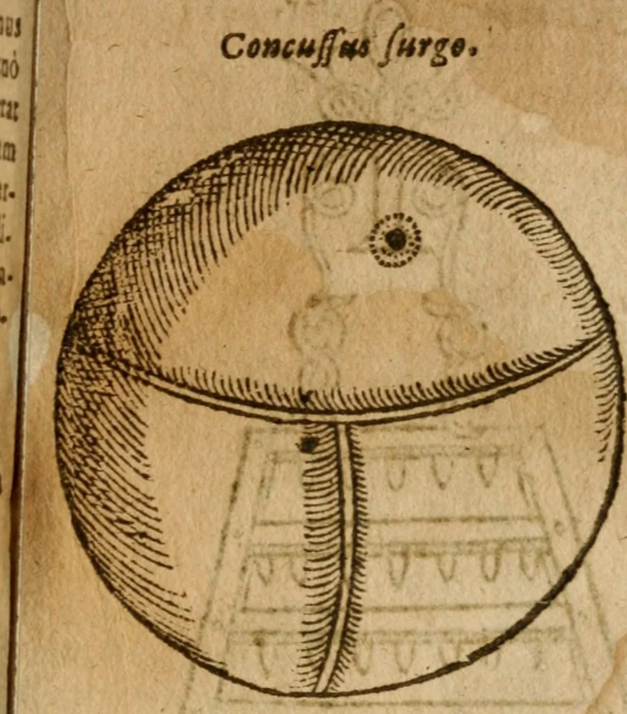 An illustration from Symbola heroica m. Clavdii Paradini, Belliiocensis canonici, et d. Gabrielis Symeonis : multo, quàm antea, fidelius de gallica lingua in latinam conuersa, 1600, leaf 250