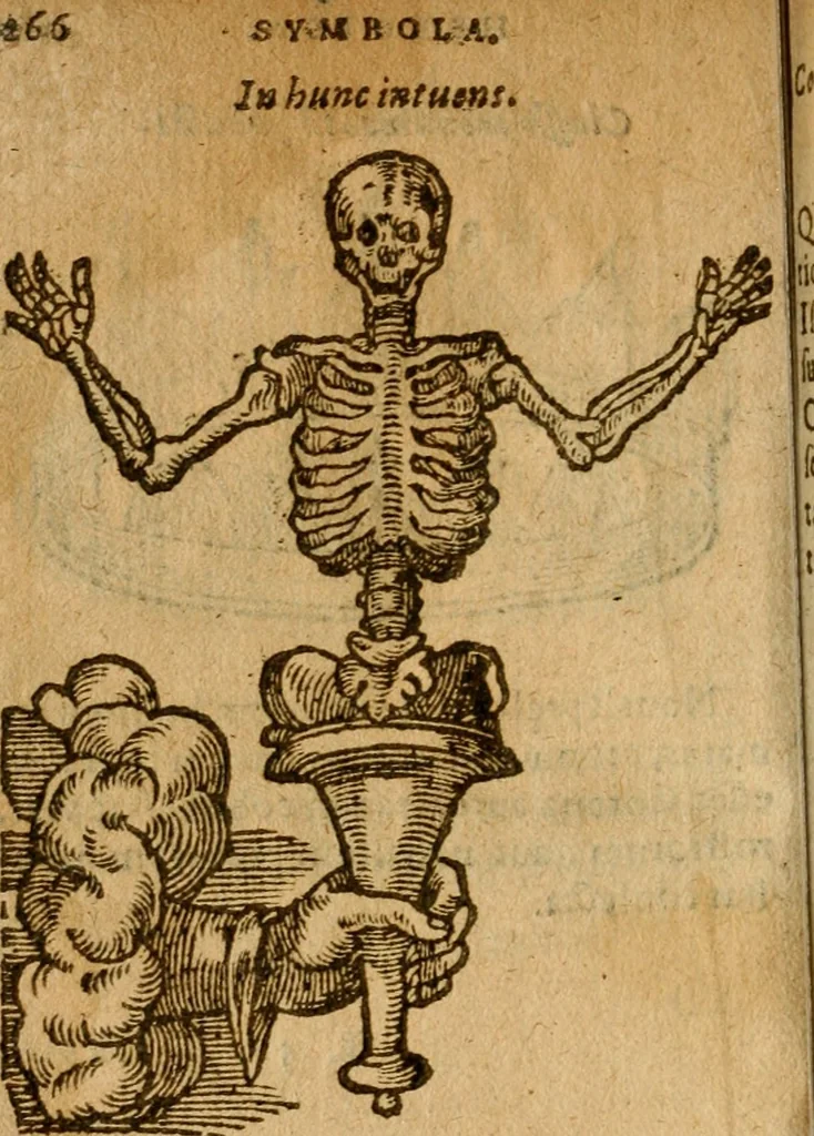 An illustration from Symbola heroica m. Clavdii Paradini, Belliiocensis canonici, et d. Gabrielis Symeonis : multo, quàm antea, fidelius de gallica lingua in latinam conuersa, 1600, leaf 269