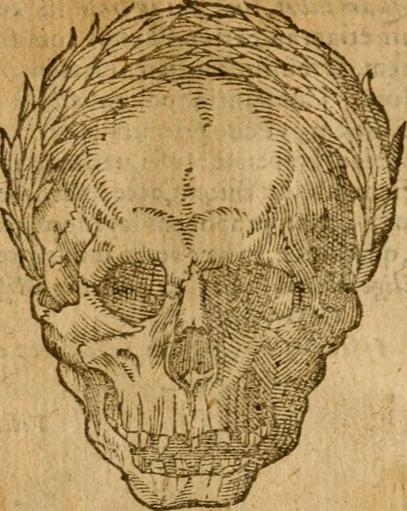An illustration from Symbola heroica m. Clavdii Paradini, Belliiocensis canonici, et d. Gabrielis Symeonis : multo, quàm antea, fidelius de gallica lingua in latinam conuersa, 1600, leaf 271