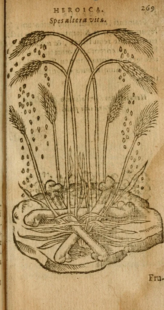 An illustration from Symbola heroica m. Clavdii Paradini, Belliiocensis canonici, et d. Gabrielis Symeonis : multo, quàm antea, fidelius de gallica lingua in latinam conuersa, 1600, leaf 272