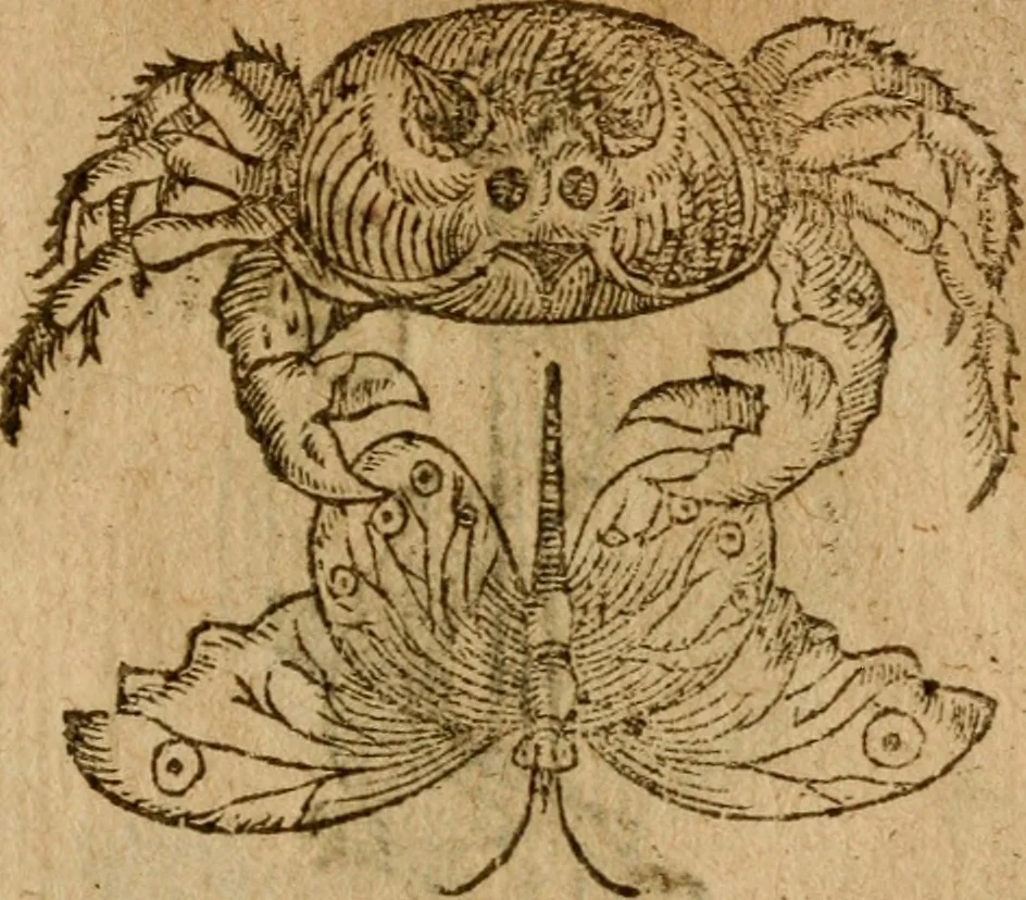 An illustration from Symbola heroica m. Clavdii Paradini, Belliiocensis canonici, et d. Gabrielis Symeonis : multo, quàm antea, fidelius de gallica lingua in latinam conuersa, 1600, leaf 276