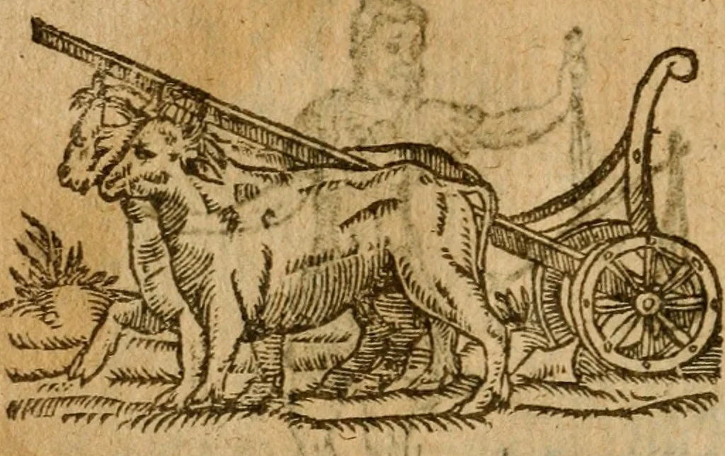 An illustration from Symbola heroica m. Clavdii Paradini, Belliiocensis canonici, et d. Gabrielis Symeonis : multo, quàm antea, fidelius de gallica lingua in latinam conuersa, 1600, leaf 295