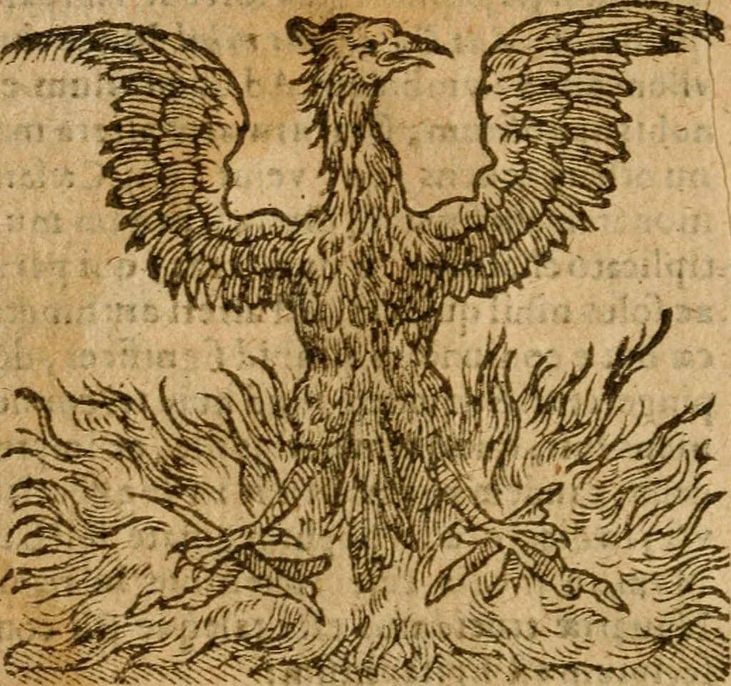 An illustration from Symbola heroica m. Clavdii Paradini, Belliiocensis canonici, et d. Gabrielis Symeonis : multo, quàm antea, fidelius de gallica lingua in latinam conuersa, 1600, leaf 299