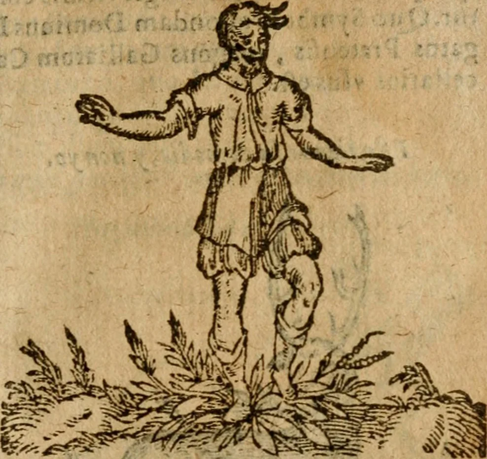 An illustration from Symbola heroica m. Clavdii Paradini, Belliiocensis canonici, et d. Gabrielis Symeonis : multo, quàm antea, fidelius de gallica lingua in latinam conuersa, 1600, leaf 302