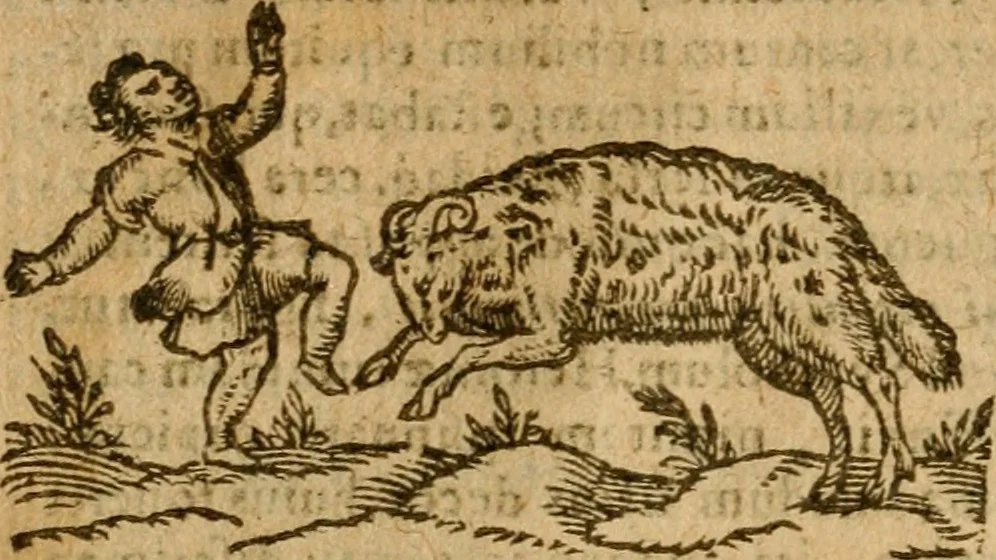 An illustration from Symbola heroica m. Clavdii Paradini, Belliiocensis canonici, et d. Gabrielis Symeonis : multo, quàm antea, fidelius de gallica lingua in latinam conuersa, 1600, leaf 307