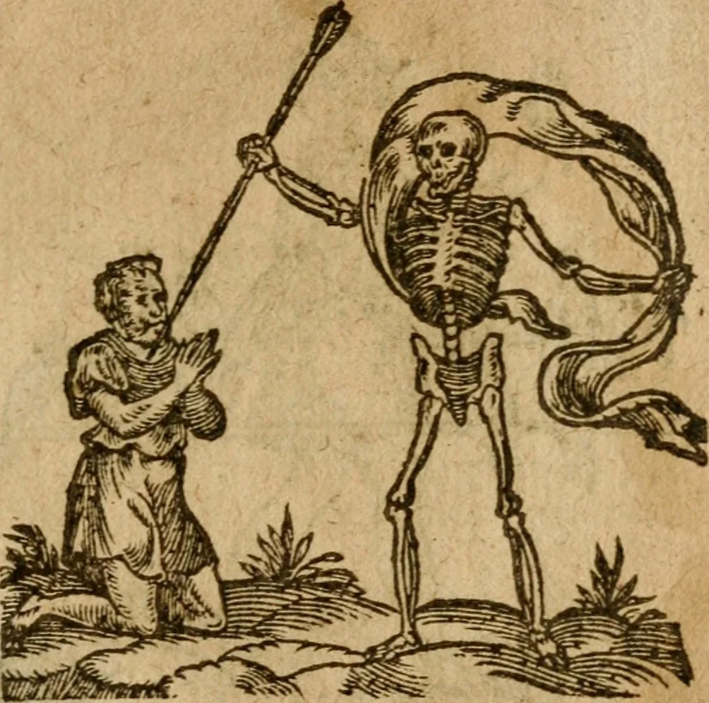 An illustration from Symbola heroica m. Clavdii Paradini, Belliiocensis canonici, et d. Gabrielis Symeonis : multo, quàm antea, fidelius de gallica lingua in latinam conuersa, 1600, leaf 312