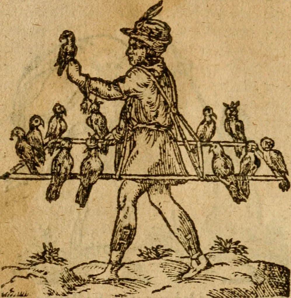 An illustration from Symbola heroica m. Clavdii Paradini, Belliiocensis canonici, et d. Gabrielis Symeonis : multo, quàm antea, fidelius de gallica lingua in latinam conuersa, 1600, leaf 313