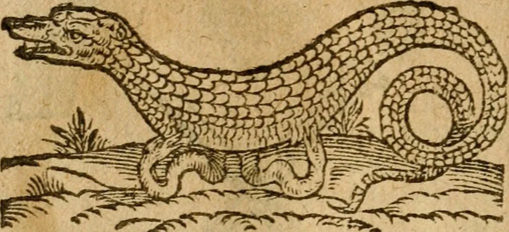 An illustration from Symbola heroica m. Clavdii Paradini, Belliiocensis canonici, et d. Gabrielis Symeonis : multo, quàm antea, fidelius de gallica lingua in latinam conuersa, 1600, leaf 319