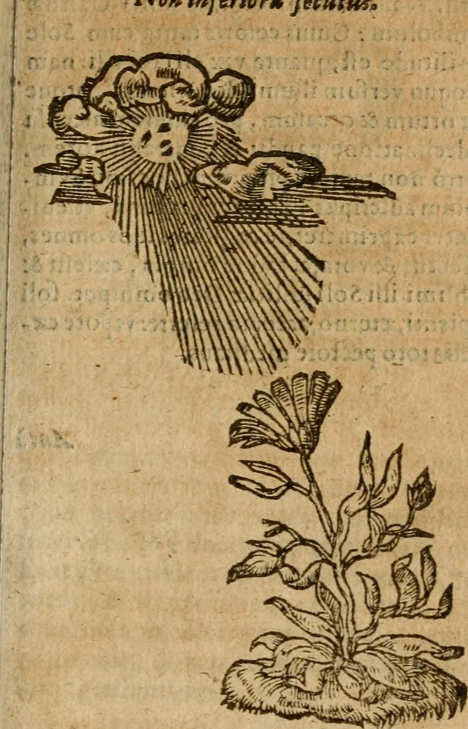 An illustration from Symbola heroica m. Clavdii Paradini, Belliiocensis canonici, et d. Gabrielis Symeonis : multo, quàm antea, fidelius de gallica lingua in latinam conuersa, 1600, leaf 46