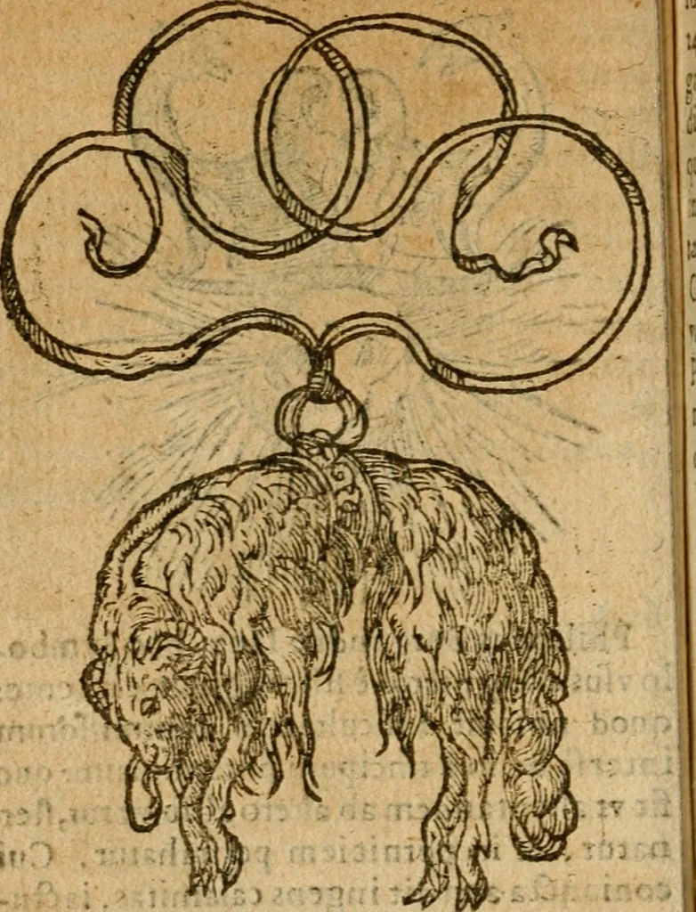 An illustration from Symbola heroica m. Clavdii Paradini, Belliiocensis canonici, et d. Gabrielis Symeonis : multo, quàm antea, fidelius de gallica lingua in latinam conuersa, 1600, leaf 49