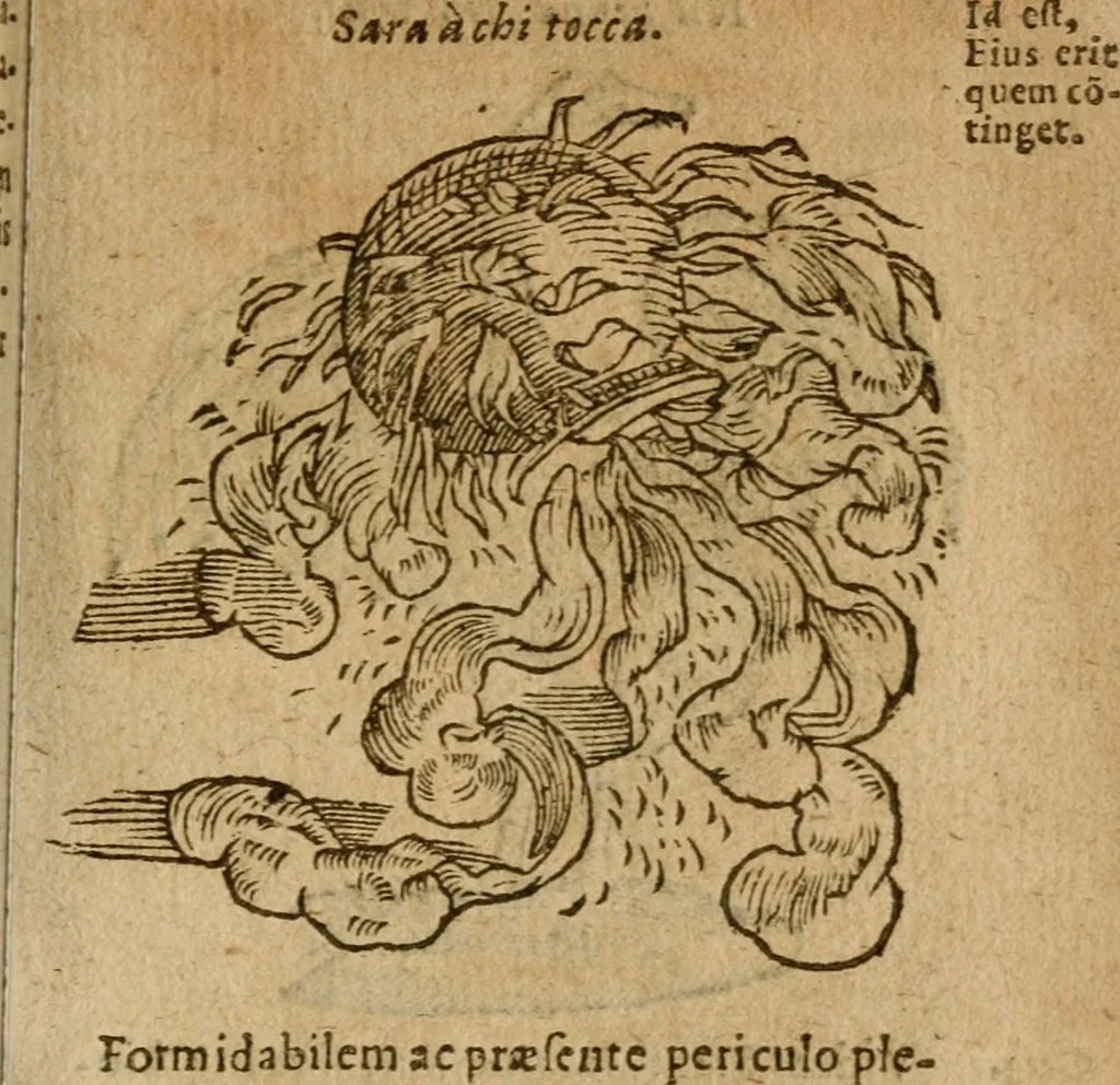 An illustration from Symbola heroica m. Clavdii Paradini, Belliiocensis canonici, et d. Gabrielis Symeonis : multo, quàm antea, fidelius de gallica lingua in latinam conuersa, 1600, leaf 54