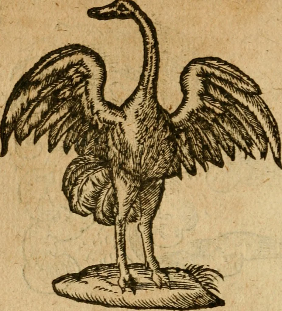 An illustration from Symbola heroica m. Clavdii Paradini, Belliiocensis canonici, et d. Gabrielis Symeonis : multo, quàm antea, fidelius de gallica lingua in latinam conuersa, 1600, leaf 55