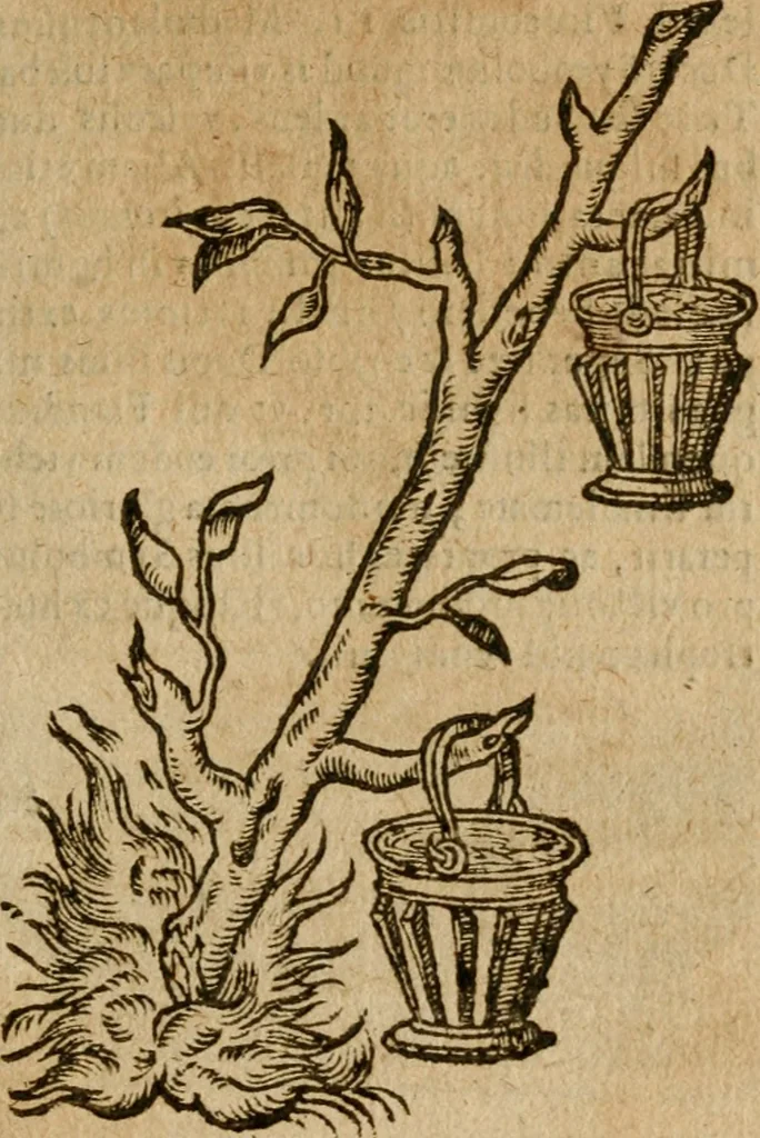 An illustration from Symbola heroica m. Clavdii Paradini, Belliiocensis canonici, et d. Gabrielis Symeonis : multo, quàm antea, fidelius de gallica lingua in latinam conuersa, 1600, leaf 56