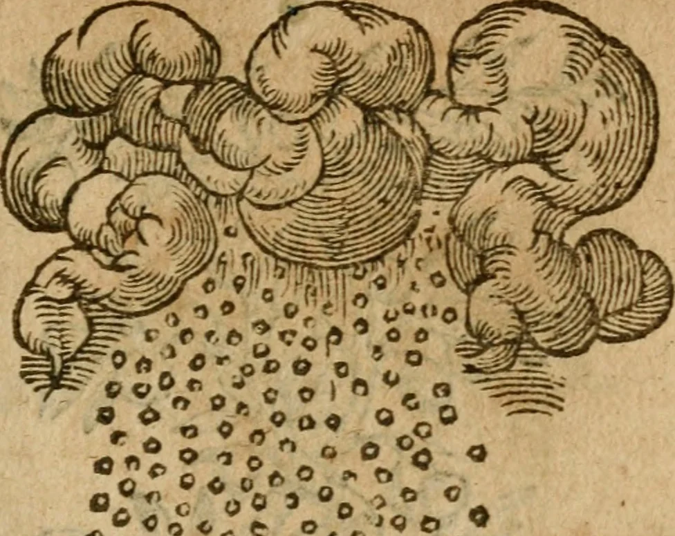 An illustration from Symbola heroica m. Clavdii Paradini, Belliiocensis canonici, et d. Gabrielis Symeonis : multo, quàm antea, fidelius de gallica lingua in latinam conuersa, 1600, leaf 62