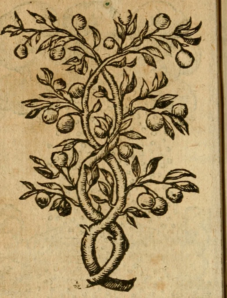 An illustration from Symbola heroica m. Clavdii Paradini, Belliiocensis canonici, et d. Gabrielis Symeonis : multo, quàm antea, fidelius de gallica lingua in latinam conuersa, 1600, leaf 63