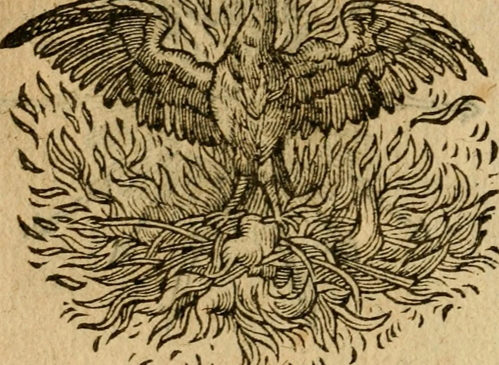 An illustration from Symbola heroica m. Clavdii Paradini, Belliiocensis canonici, et d. Gabrielis Symeonis : multo, quàm antea, fidelius de gallica lingua in latinam conuersa, 1600, leaf 95