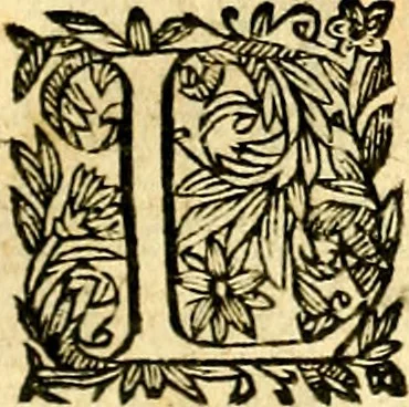 An illustration from Symbolica aegyptiorvm sapientia, 1633, leaf 288
