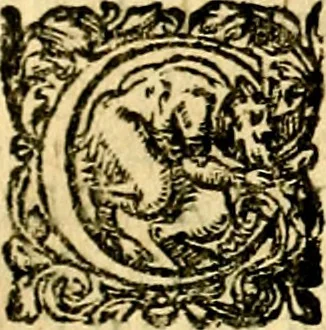 An illustration from Symbolica aegyptiorvm sapientia, 1633, leaf 290