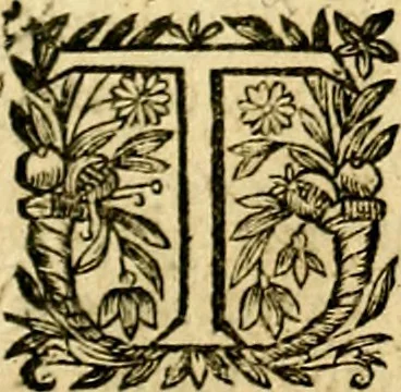 An illustration from Symbolica aegyptiorvm sapientia, 1633, leaf 294