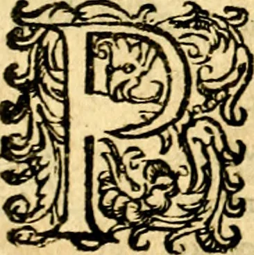 An illustration from Symbolica aegyptiorvm sapientia, 1633, leaf 348