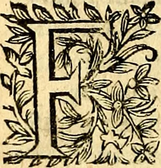 An illustration from Symbolica aegyptiorvm sapientia, 1633, leaf 439