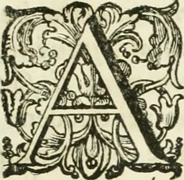 An illustration from Symbolica Dianae Ephesiae statua, 1688, leaf 124