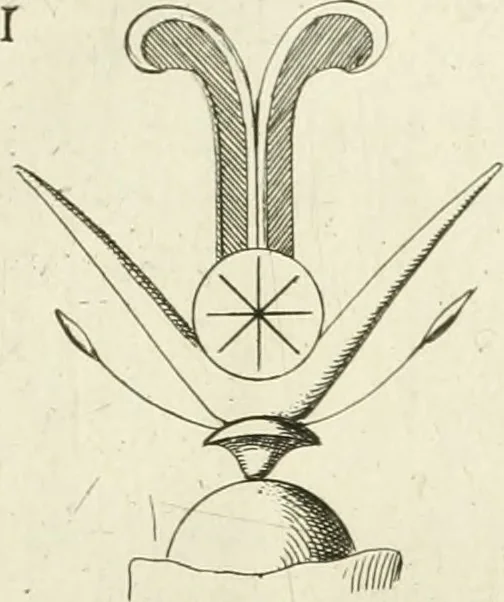 An illustration from Symbolica Dianae Ephesiae statua, 1688, leaf 18