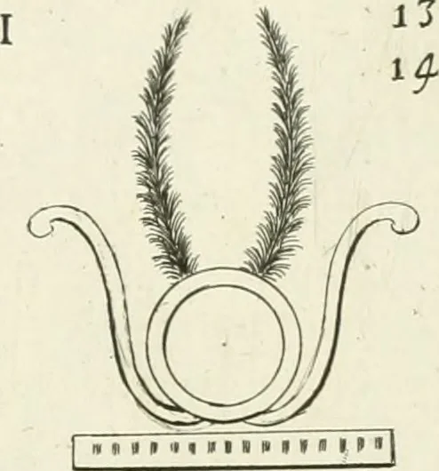 An illustration from Symbolica Dianae Ephesiae statua, 1688, leaf 18