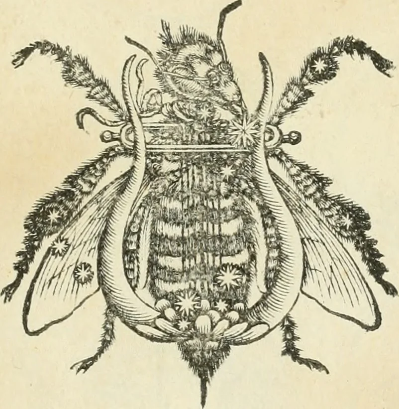 An illustration from Symbolica Dianae Ephesiae statua, 1688, leaf 88