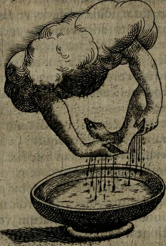 An illustration from Symbolica vitae Christi meditatio, 1612, leaf 105