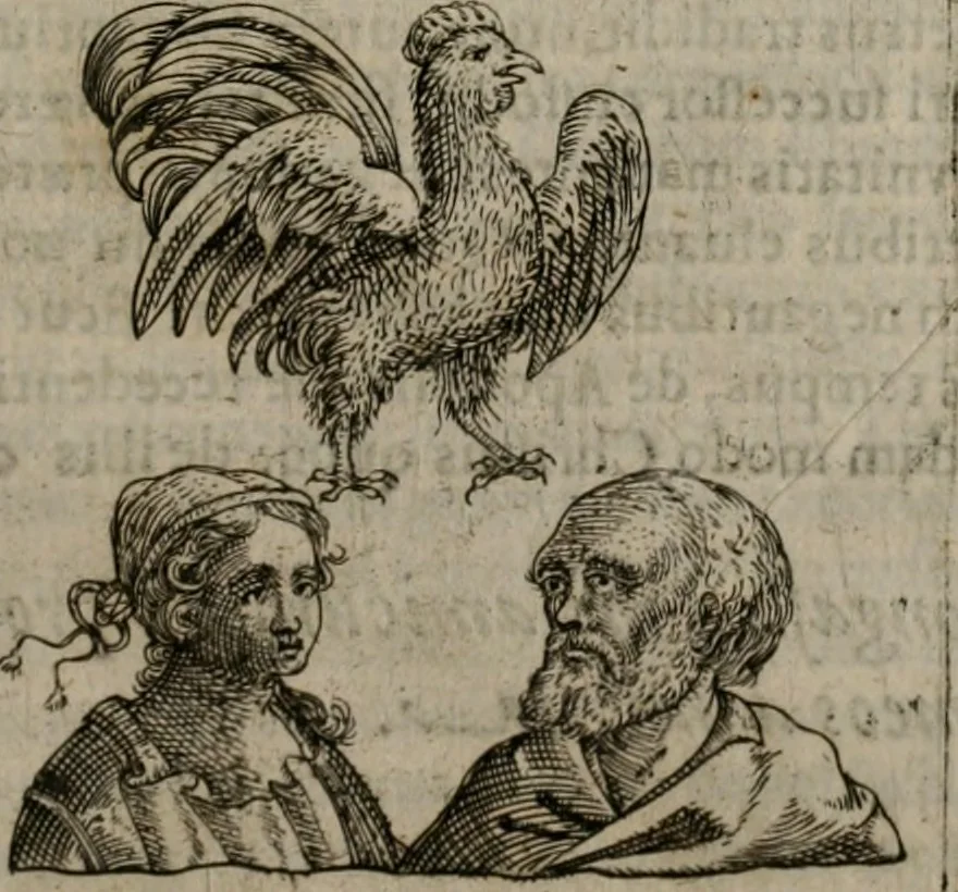 An illustration from Symbolica vitae Christi meditatio, 1612, leaf 134