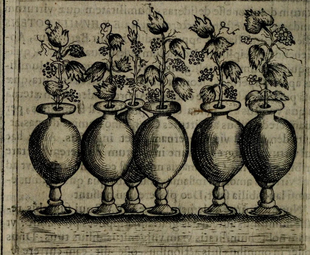 An illustration from Symbolica vitae Christi meditatio, 1612, leaf 37
