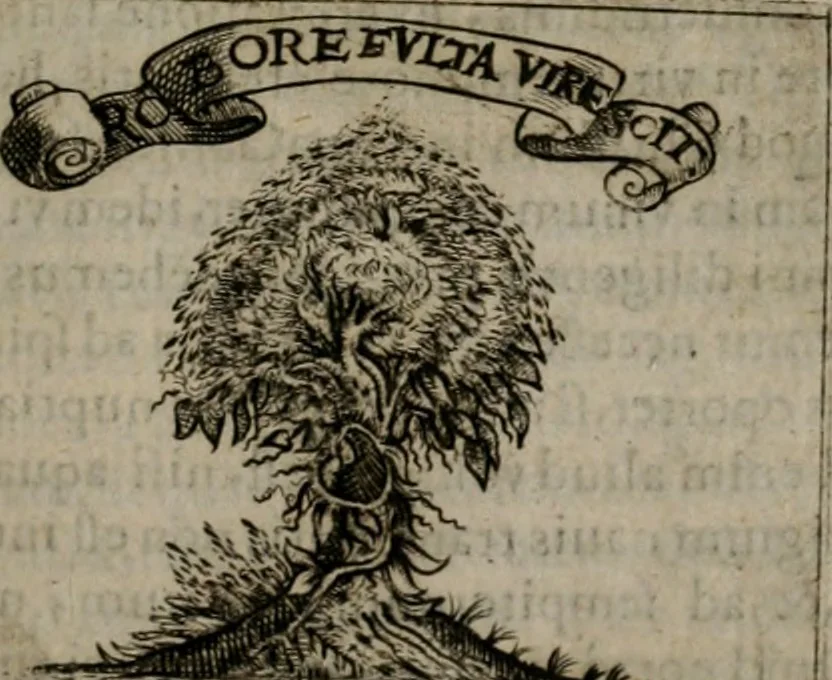 An illustration from Symbolica vitae Christi meditatio, 1612, leaf 38