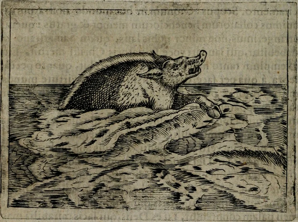 An illustration from Symbolica vitae Christi meditatio, 1612, leaf 49